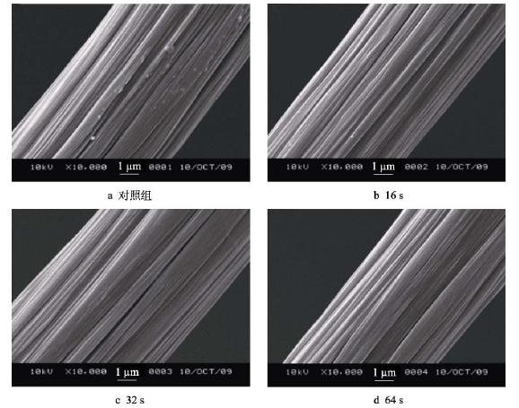 不同等離子處理時(shí)間對碳纖維表面的影響